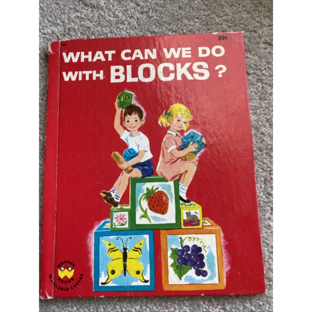 1964 Childrens Book - WHAT CAN WE DO WITH BLOCKS? by Francis Shaine